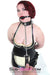 0238DL      Locking Studded 3 Ring Slave Collar with Leash Combo Collar   , Sub-Shop.com Bondage and Fetish Superstore