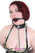 0238DL      Locking Studded 3 Ring Slave Collar with Leash Combo Collar   , Sub-Shop.com Bondage and Fetish Superstore
