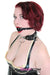 0238DL      Locking Studded 3 Ring Slave Collar with Leash Combo Collar   , Sub-Shop.com Bondage and Fetish Superstore