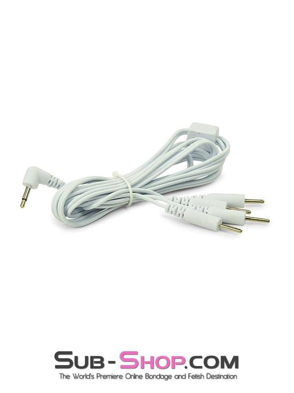 2301M      Electro Sex Power Box Wires, 4 Plug Type Connectors Electro-Stim   , Sub-Shop.com Bondage and Fetish Superstore