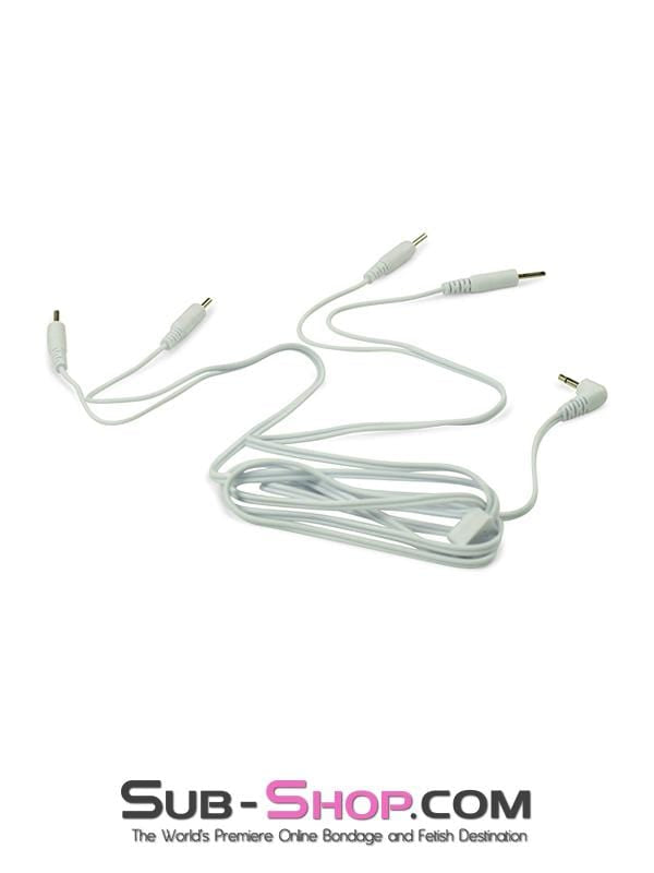 2301M      Electro Sex Power Box Wires, 4 Plug Type Connectors - MEGA Deal Black Friday Blowout   , Sub-Shop.com Bondage and Fetish Superstore