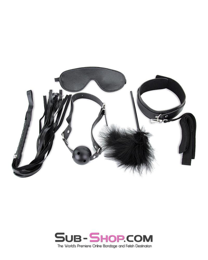 2316M      Black Bondage Fantasy Rope, Cuffs, Collar, Clamps, Blindfold, Gag, Whip, Tickler and Connections Kit – 10 pcs Bondage Set   , Sub-Shop.com Bondage and Fetish Superstore
