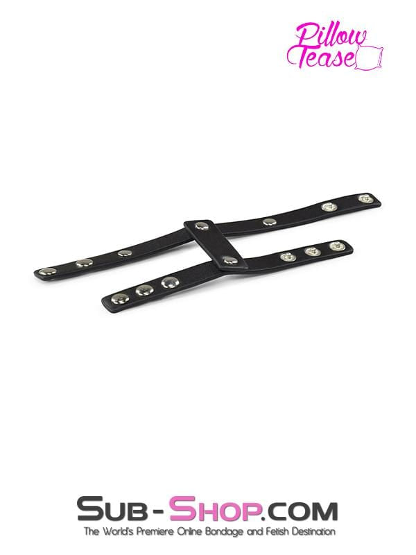 2373DL      Leather Cock and Ball Straps - LAST CHANCE - Final Closeout! MEGA Deal   , Sub-Shop.com Bondage and Fetish Superstore