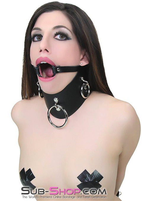 0636A      Locking Slave Trainer Posture Collar Collar   , Sub-Shop.com Bondage and Fetish Superstore