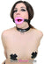 2425M      Bondage Doll Pink Sex Lips Strapped Open Mouth Gag Gags   , Sub-Shop.com Bondage and Fetish Superstore