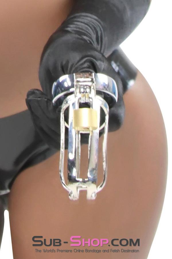 2540M      Mistresses Pleasure Hinged Locking Steel Cock and Ball Chastity Chastity   , Sub-Shop.com Bondage and Fetish Superstore