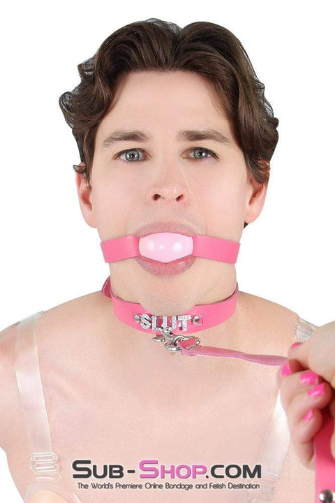2541A-SIS      Sissy Bitch Hot Pink Classic Leather Ball Gag Strap, Candy Pop Pink Ball Sissy   , Sub-Shop.com Bondage and Fetish Superstore