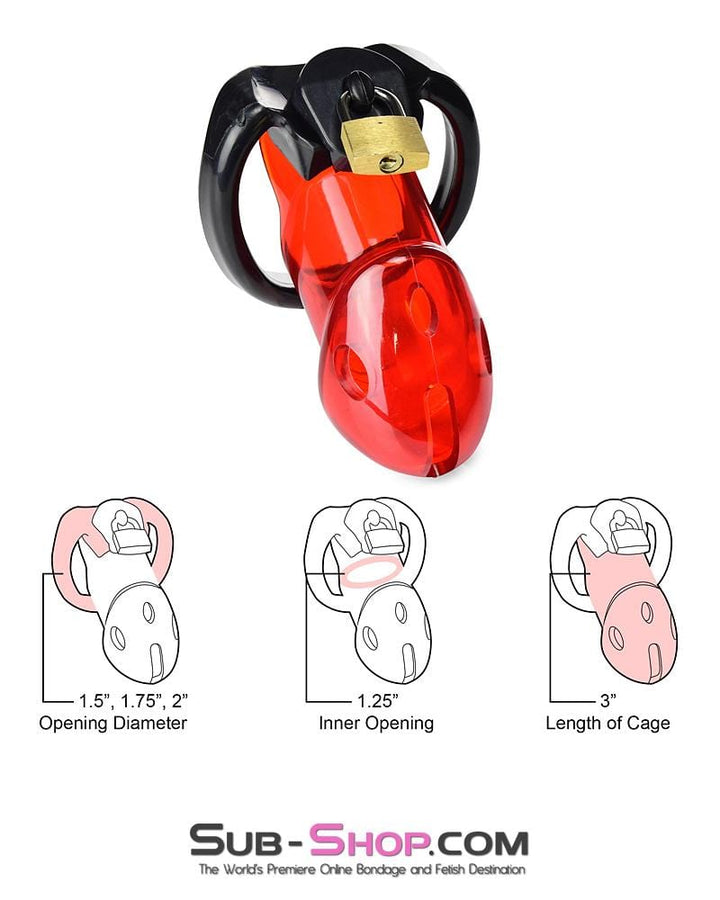 2619R      Caught Red Handed Locking Cock & Ball Chastity Set - MEGA Deal Black Friday Blowout   , Sub-Shop.com Bondage and Fetish Superstore