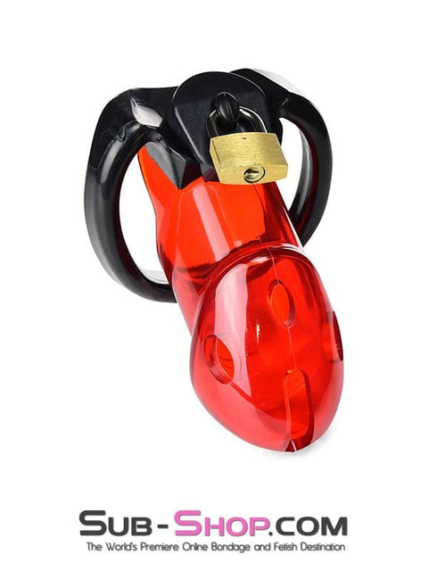 2619R      Caught Red Handed Locking Cock & Ball Chastity Set Chastity   , Sub-Shop.com Bondage and Fetish Superstore