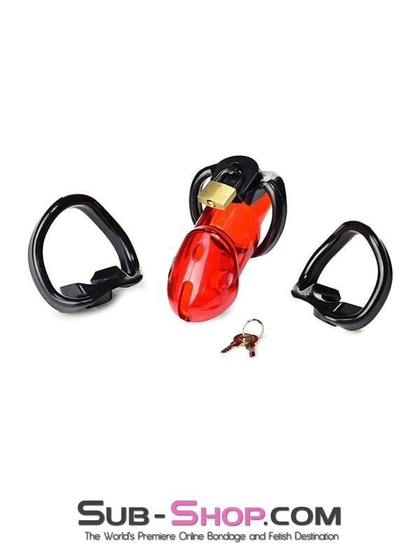 2619R Caught Red Handed Locking Cock & Ball Chastity Set Chastity , Sub-Shop.com Bondage and Fetish Superstore
