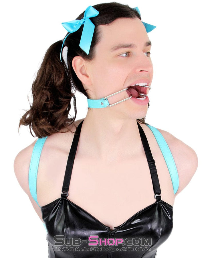 2698RS-SIS      Pretty Sissy Boi, You Are the BDSM Mistress One! Spreader Gag Sissy   , Sub-Shop.com Bondage and Fetish Superstore