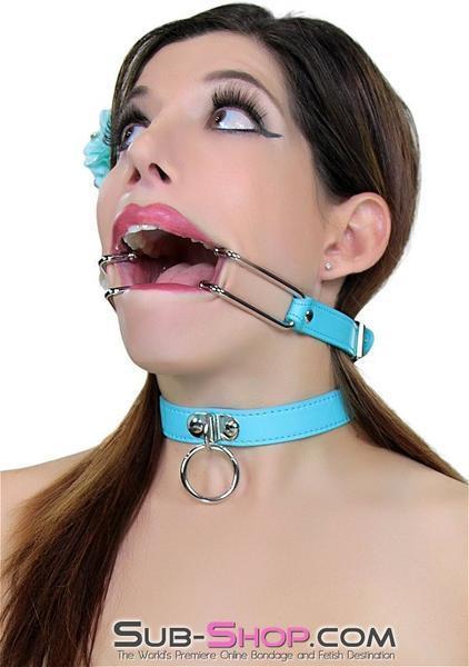2698RS-SIS    Sissy Boi, You Are the One! Spreader Gag Sissy   , Sub-Shop.com Bondage and Fetish Superstore
