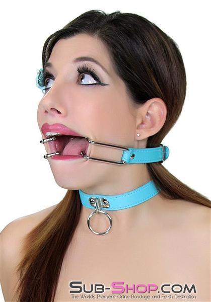 2698RS-SIS    Sissy Boi, You Are the One! Spreader Gag Sissy   , Sub-Shop.com Bondage and Fetish Superstore