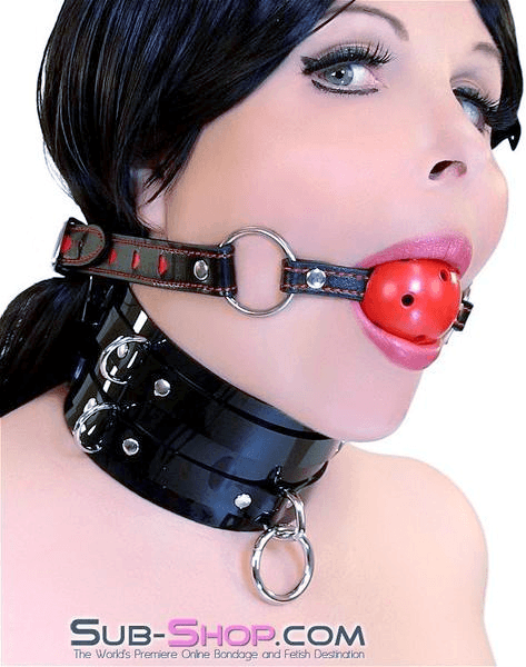 9003DL      I Love This Gag Breather Style Hearts Strap Ball Gag - LAST CHANCE - Final Closeout! Black Friday Blowout   , Sub-Shop.com Bondage and Fetish Superstore