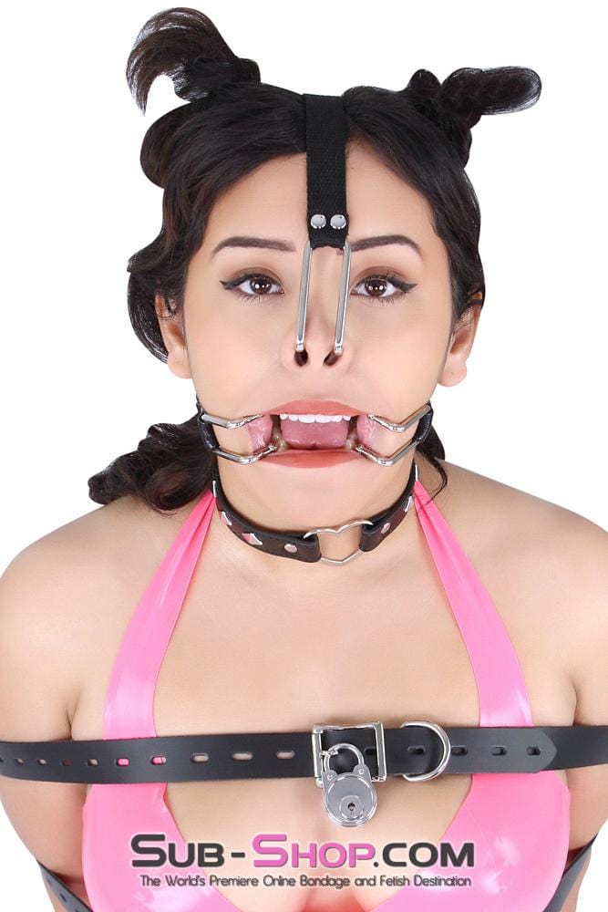 4467BD-SIS      Sissy Bimbo Pretty Sissy Vixen, Are You The One? Spreader Gag Sissy   , Sub-Shop.com Bondage and Fetish Superstore