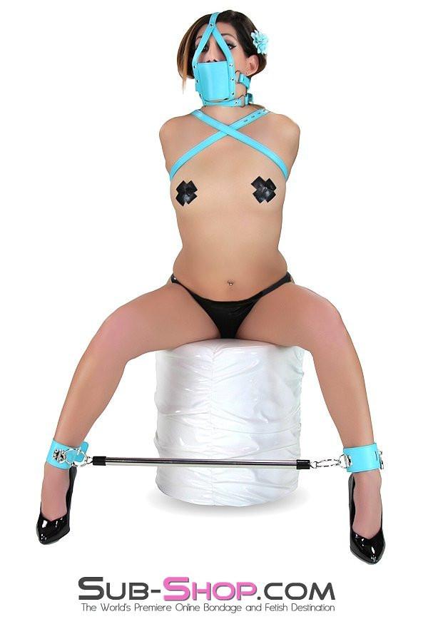 3483RS      Open Minded Spreader Bar with Locking Diamond Blue Ankle Cuffs - LAST CHANCE - Final Closeout! MEGA Deal   , Sub-Shop.com Bondage and Fetish Superstore