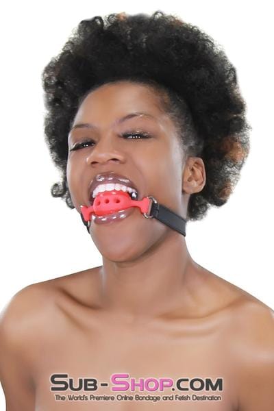 3423RS      Medium Red Silicone Breather Ball Gag on Locking Black Strap - LAST CHANCE - Final Closeout! MEGA Deal   , Sub-Shop.com Bondage and Fetish Superstore