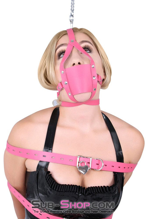 3426A      Hot Pink Silencer Panel Style Ballgag Trainer Gags   , Sub-Shop.com Bondage and Fetish Superstore