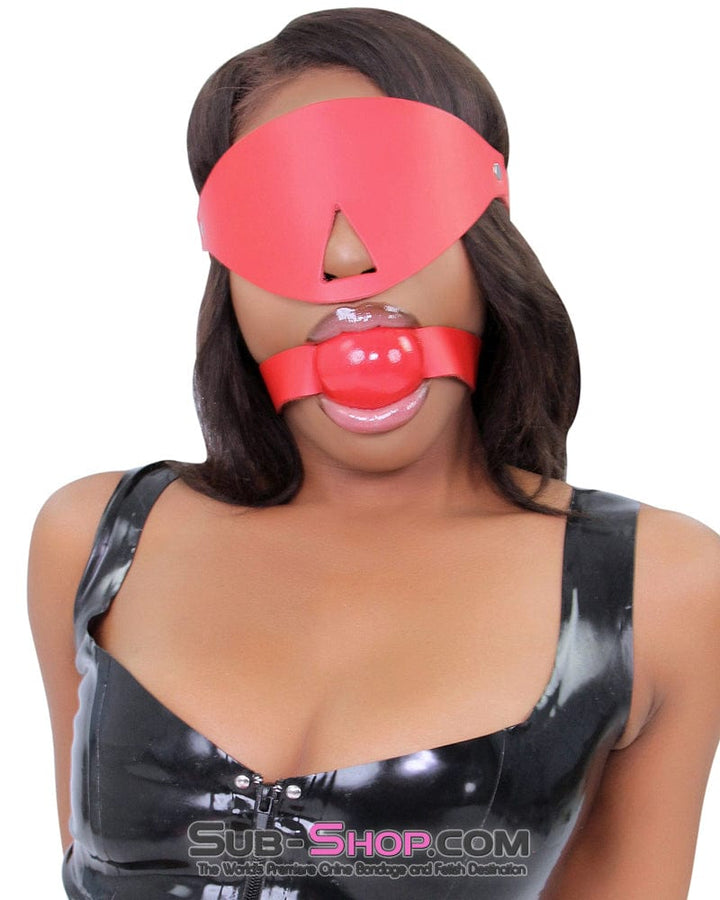 1411A   2” Large Ball Gag, Candy Apple Red Ballgag, Red Leather Strap Gags   , Sub-Shop.com Bondage and Fetish Superstore