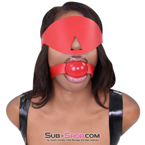 1411A   2” Large Ball Gag, Candy Apple Red Ballgag, Red Leather Strap Gags   , Sub-Shop.com Bondage and Fetish Superstore