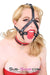 4700RS      Red Trimmed Kitten Collar - LAST CHANCE - Final Closeout! MEGA Deal   , Sub-Shop.com Bondage and Fetish Superstore