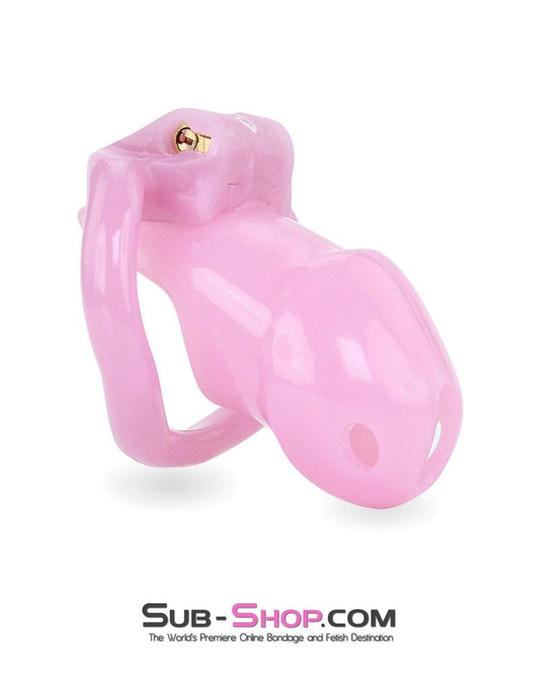 3744AE      <b>BOGO!</b> Little Sissy Bitch Short High Security Keyed Tumbler Locking Male Chastity with 4 Base Cock Ring Sizes Chastity   , Sub-Shop.com Bondage and Fetish Superstore