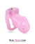3744AE      Little Sissy Bitch Short High Security Keyed Tumbler Locking Male Chastity with 4 Base Cock Ring Sizes - MEGA Deal MEGA Deal   , Sub-Shop.com Bondage and Fetish Superstore