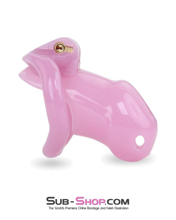 3744AE-SIS      Little Sissy Boy Short High Security Keyed Tumbler Locking Male Chastity with 4 Base Cock Ring Sizes Sissy   , Sub-Shop.com Bondage and Fetish Superstore