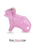 3744AE      Little Sissy Bitch Short High Security Keyed Tumbler Locking Male Chastity with 4 Base Cock Ring Sizes - MEGA Deal MEGA Deal   , Sub-Shop.com Bondage and Fetish Superstore