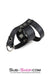 3786HS-SIS      Sissy's Leather Ball Stretcher with Cock Ring Sissy   , Sub-Shop.com Bondage and Fetish Superstore