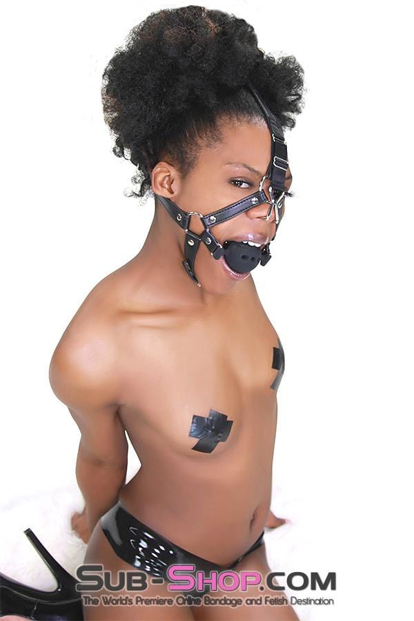 3812RS      2” Large Black Silicone Breather Ball Gag Trainer with Nose Hook Gags   , Sub-Shop.com Bondage and Fetish Superstore