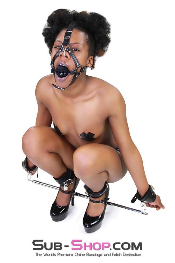 3812RS      2” Large Black Silicone Breather Ball Gag Trainer with Nose Hook Gags   , Sub-Shop.com Bondage and Fetish Superstore