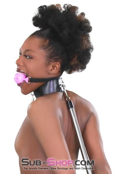 3846RS      Medium Pink Silicone Breather Ball Gag on Locking Black Strap Ballgag   , Sub-Shop.com Bondage and Fetish Superstore