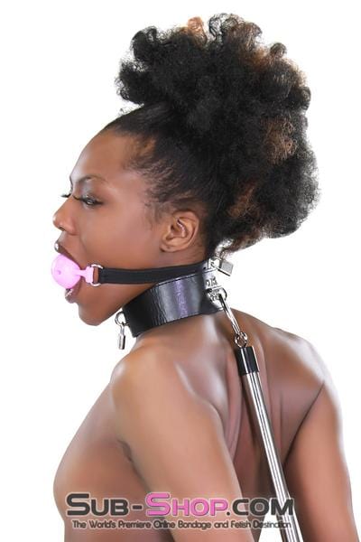 3846RS      Medium Pink Silicone Breather Ball Gag on Locking Black Strap Ballgag   , Sub-Shop.com Bondage and Fetish Superstore