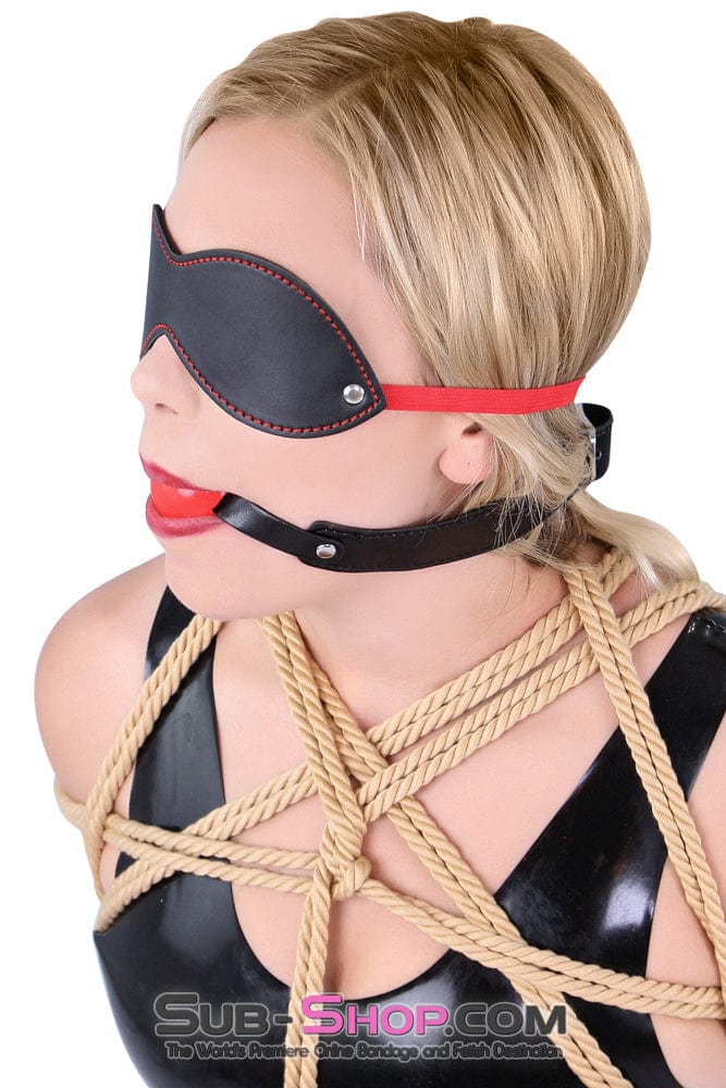 8947DL      <b>BOGO!</b> Bondage Basics Beginner’s Red Rubber Ball Gag Ballgag   , Sub-Shop.com Bondage and Fetish Superstore
