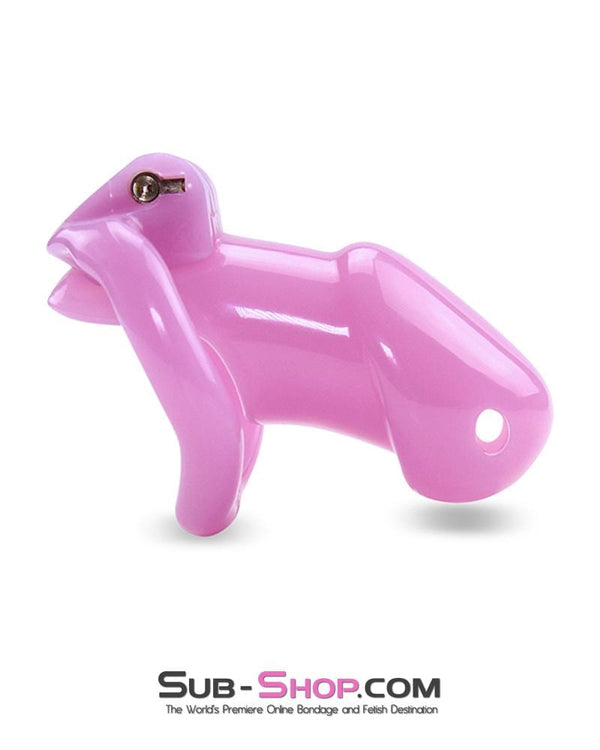 0396AE      Sissy Bitch High Security Keyed Tumbler Locking Male Chastity with 4 Base Cock Ring Sizes - MEGA Deal Black Friday Blowout   , Sub-Shop.com Bondage and Fetish Superstore