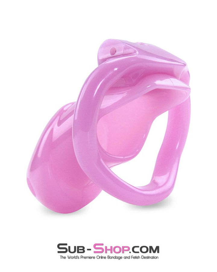 0396AE      Sissy Bitch High Security Keyed Tumbler Locking Male Chastity with 4 Base Cock Ring Sizes - MEGA Deal Black Friday Blowout   , Sub-Shop.com Bondage and Fetish Superstore