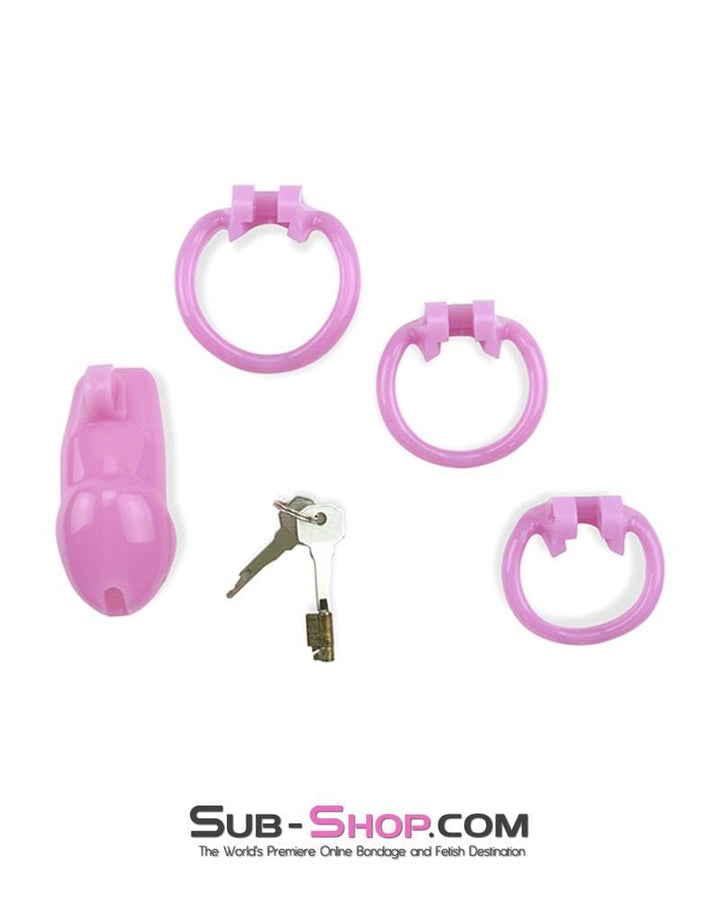 0396AE      Sissy Bitch High Security Keyed Tumbler Locking Male Chastity with 4 Base Cock Ring Sizes - MEGA Deal Black Friday Blowout   , Sub-Shop.com Bondage and Fetish Superstore