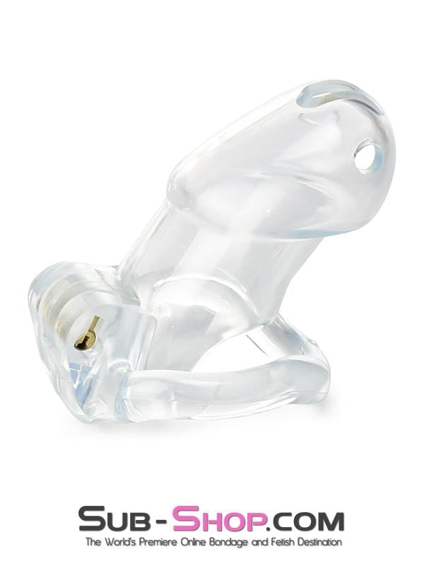 0397AE      Exposed in Chastity High Security Keyed Tumbler Locking Male Chastity with 4 Base Cock Ring Sizes Chastity   , Sub-Shop.com Bondage and Fetish Superstore
