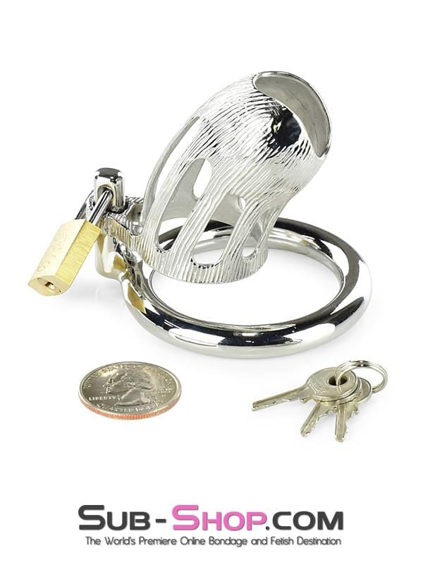 0399M      Itty Bitty Little Dicky Steel Locking Male Chastity Device with Cock Ring Chastity   , Sub-Shop.com Bondage and Fetish Superstore