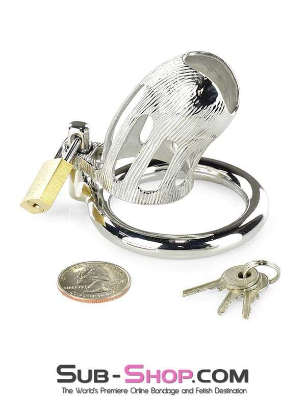 0399M-SIS      Itty Bitty Little Sissy Dicky Steel Locking Male Chastity Device with Cock Ring Sissy   , Sub-Shop.com Bondage and Fetish Superstore