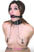 0428P      Fetish Fantasy O-Ring Gag & Nipple Clamps Gags   , Sub-Shop.com Bondage and Fetish Superstore