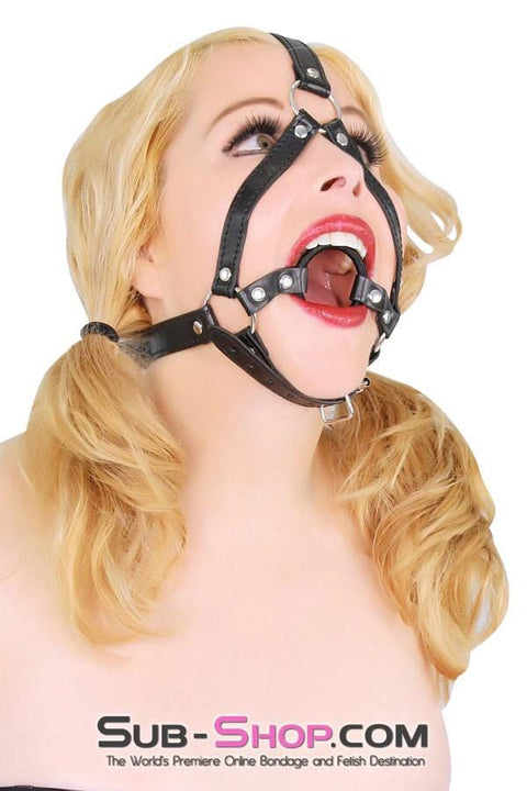 4423BD-SIS      Sissy Trap Wrapped Ring Gag Trainer Harness Sissy   , Sub-Shop.com Bondage and Fetish Superstore