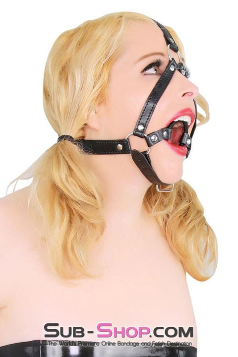 4423BD      Wrapped Ring Gag Trainer Harness Gags   , Sub-Shop.com Bondage and Fetish Superstore