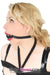 4482DL      BIG 2” Black Rubber Ballgag Gags   , Sub-Shop.com Bondage and Fetish Superstore