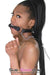 4716RS      Silicone Bit Gag with Leash Reins Set - LAST CHANCE - Final Closeout! MEGA Deal   , Sub-Shop.com Bondage and Fetish Superstore