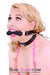 4716RS      Silicone Bit Gag with Leash Reins Set - LAST CHANCE - Final Closeout! MEGA Deal   , Sub-Shop.com Bondage and Fetish Superstore