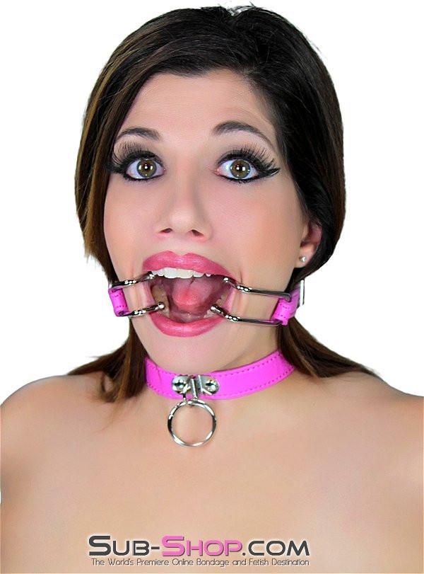 5751RS     Hot Under the Collar Dainty Ring Bondage Collar Collar   , Sub-Shop.com Bondage and Fetish Superstore