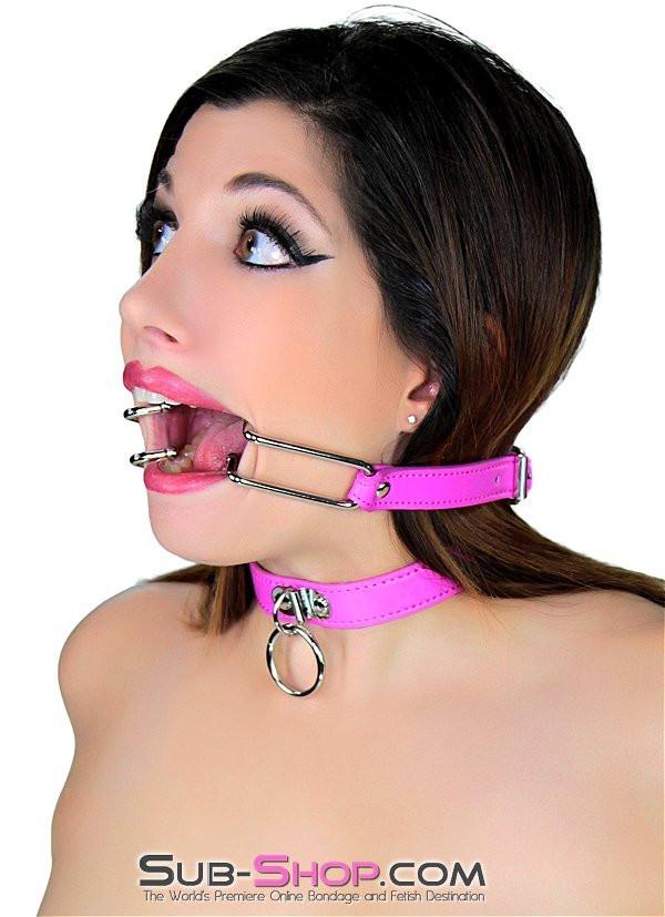 5751RS     Hot Under the Collar Dainty Ring Bondage Collar Collar   , Sub-Shop.com Bondage and Fetish Superstore