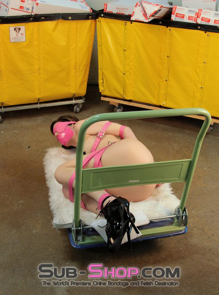 3406A      Hot Pink Leather Bondage Mask Blindfold Blindfold   , Sub-Shop.com Bondage and Fetish Superstore
